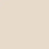 Pale beige matte surface, RAL 1013 color, uniform tone, consistent finish, Bolzan Letto metal color sample, neutral background texture.